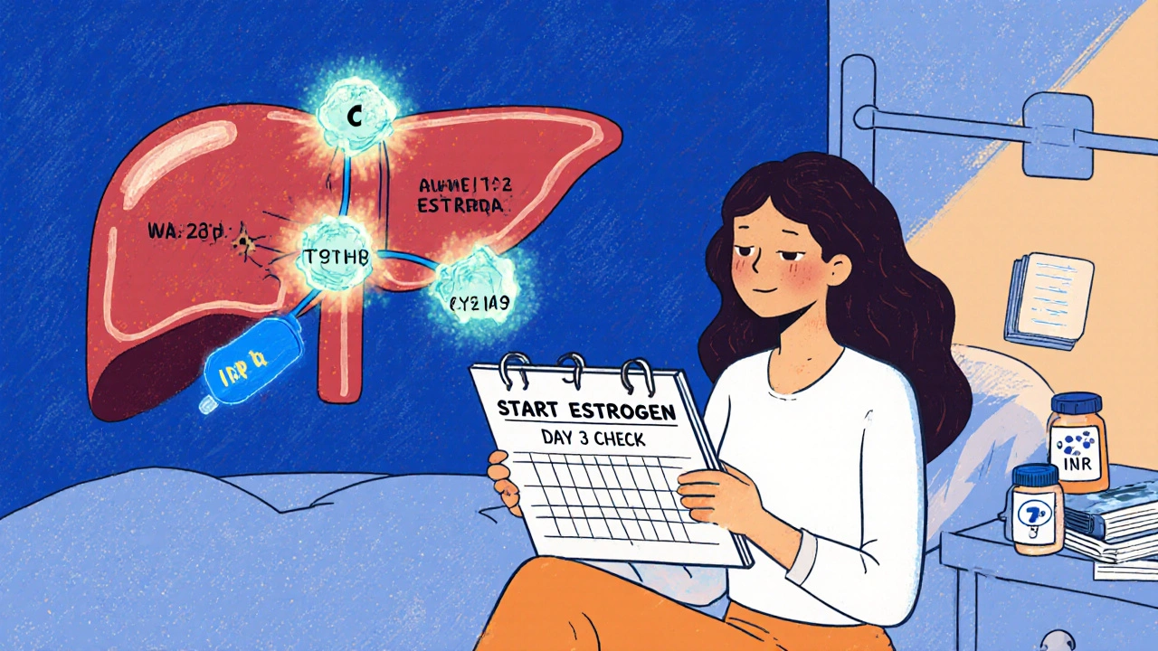 Estrogen Interactions with Warfarin: What You Need to Know About Blood Thinners and Hormones